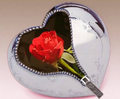 POUR L'AMOUR DE MA VIE
