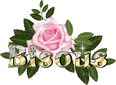POUR TOI MON AMOUR JE T'AIME A LA FOLLIE