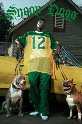 snoop dogg le start de big borris